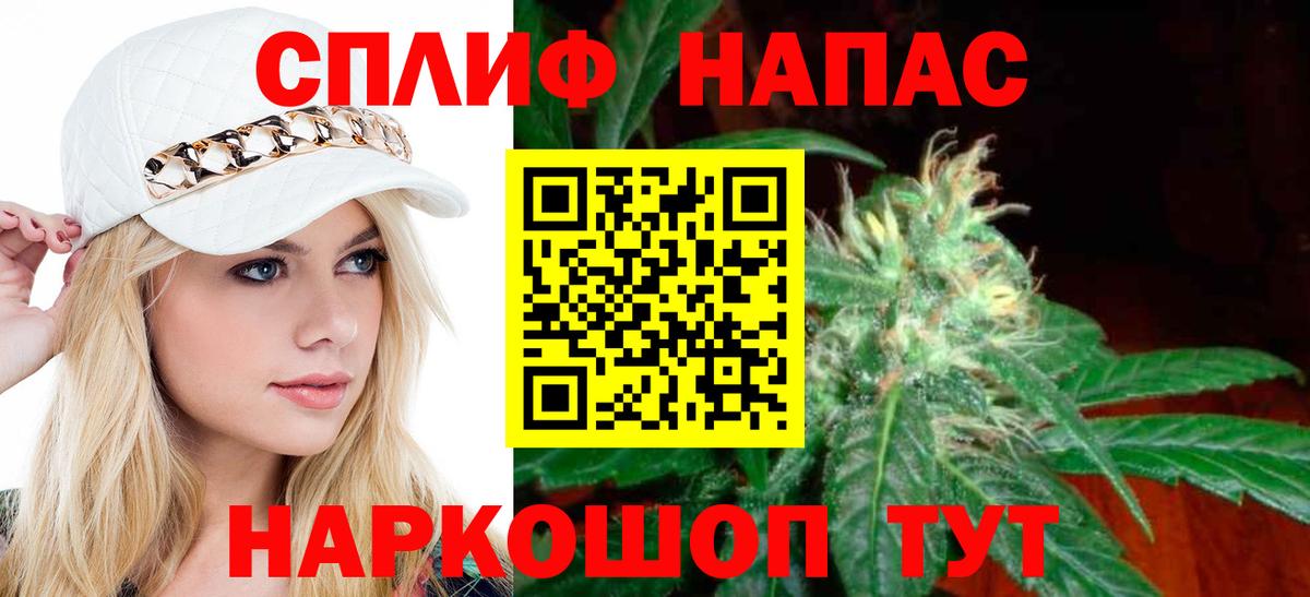 Шишки марихуана семена Малгобек